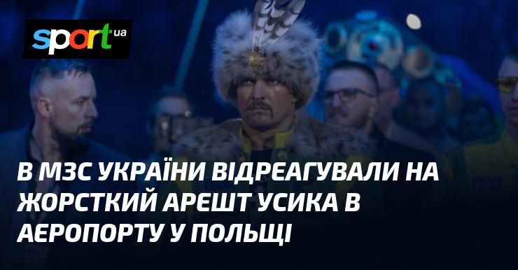 У Міністерстві закордонних справ України прокоментували жорсткий арешт Усика в польському аеропорту.