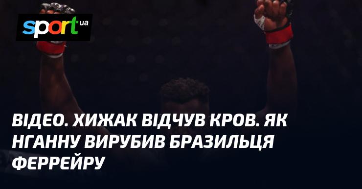 ВІДЕО. Хижак відчув запах крові. Як Нганну нокаутував бразильця Феррейру.